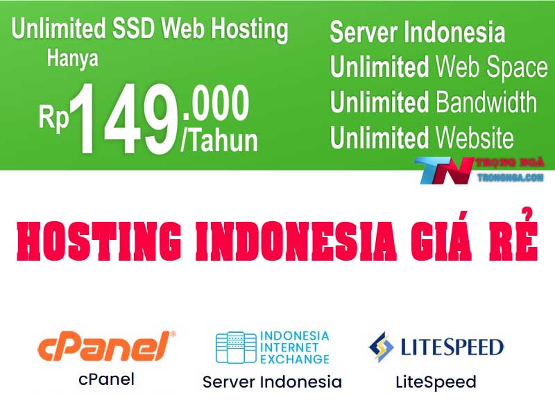 Hosting Unlimited SSD giá rẻ Server Indonesia 250k/ năm